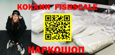 крисы Кулебаки