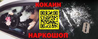 крисы Кулебаки