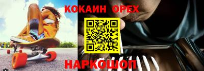 крисы Кулебаки