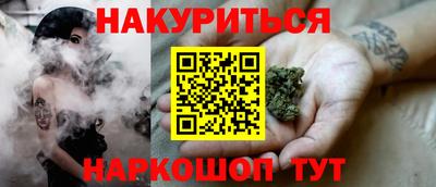 крисы Кулебаки