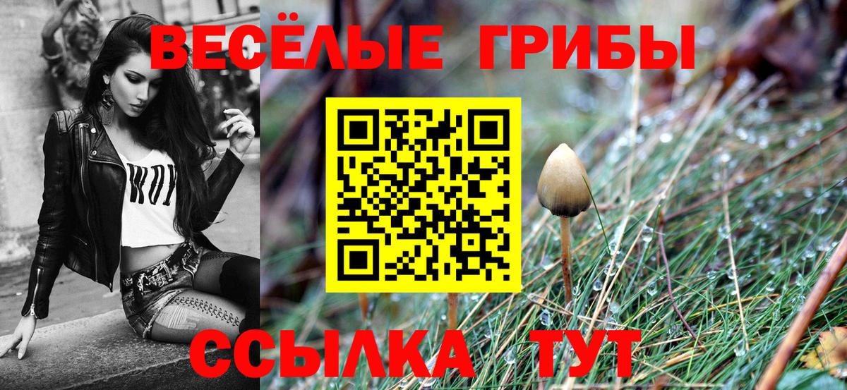 Югорск  Псилоцибиновые грибы Psilocybe  Псилоцибиновые грибы мицелий  Вход с VPN 