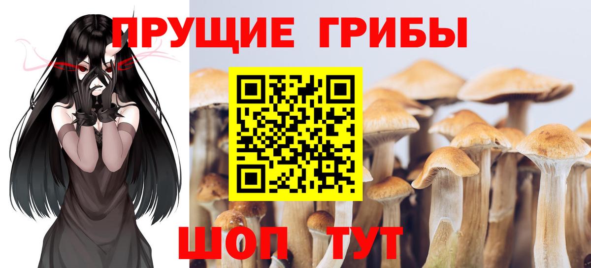 Псилоцибиновые грибы прущие грибы Югорск